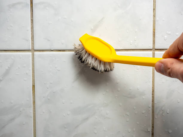 Tehachapi, CA Mold Removal Pros